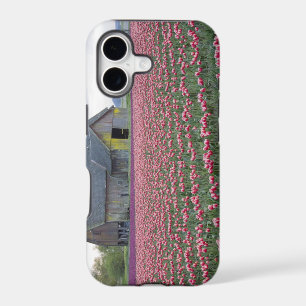 WA, Skagit Valley, Tulip Field and Barn