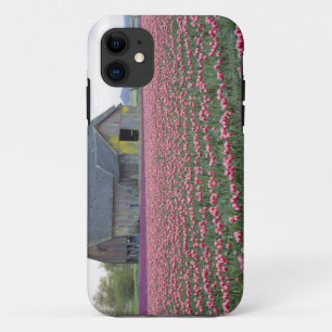 WA, Skagit Valley, Tulip Field and Barn iPhone 11 Case
