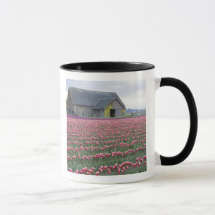 WA, Skagit Valley, Tulip Field and Barn Mug