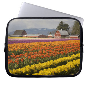 WA, Skagit Valley, Tulip fields in bloom, at Laptop Sleeve