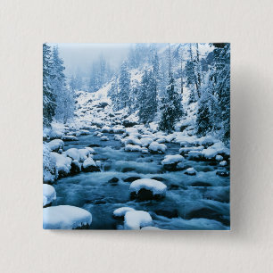 WA, Wenatchee National Forest, Cascade 15 Cm Square Badge