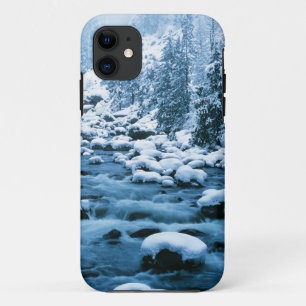 WA, Wenatchee National Forest, Cascade iPhone 11 Case