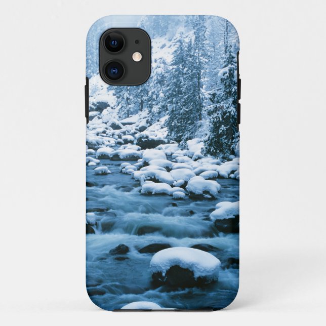 WA, Wenatchee National Forest, Cascade Case-Mate iPhone Case (Back)