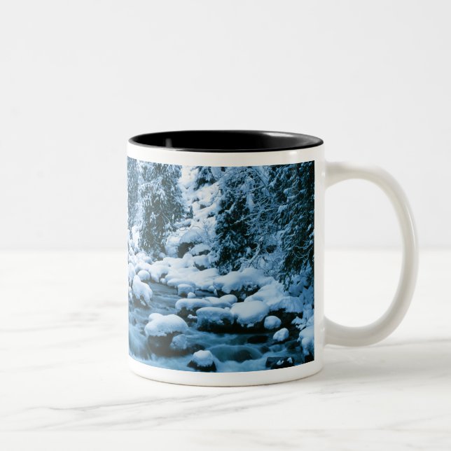 WA, Wenatchee National Forest, Cascade Two-Tone Coffee Mug (Right)