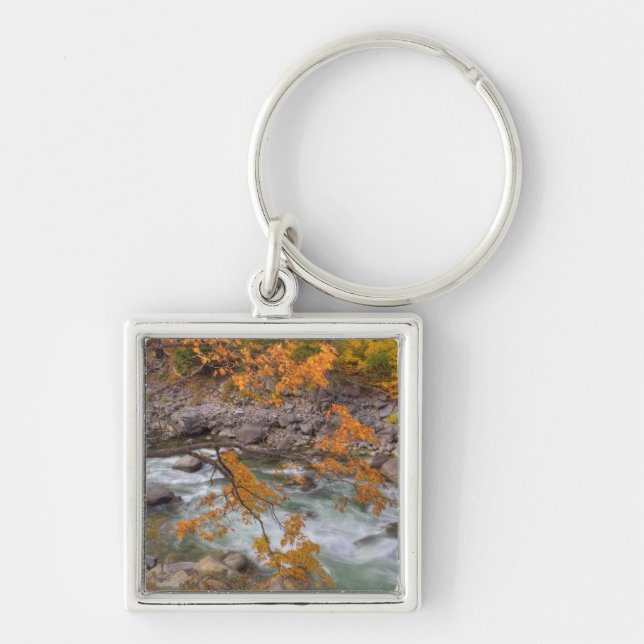 WA, Wenatchee National Forest, Maple tree and Key Ring (Front)