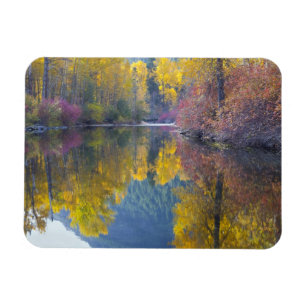WA, Wenatchee National Forest, Whitepine Creek, Magnet