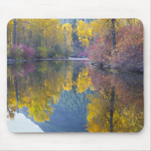 WA, Wenatchee National Forest, Whitepine Creek, Mouse Pad