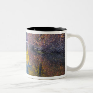 WA, Wenatchee National Forest, Whitepine Creek, Two-Tone Coffee Mug