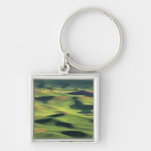 WA, Whitman County, Palouse Farmland, view Key Ring