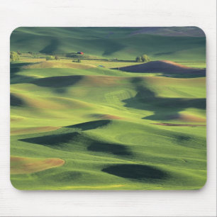 WA, Whitman County, Palouse Farmland, view Mouse Pad