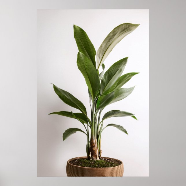 Wabi-Sabi Art Poster (Front)