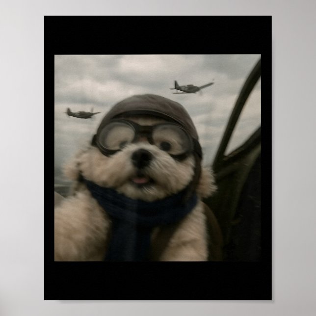 Wacky Dog Funny Dog Selfie Lot Jet Fighter Airplan Poster (Front)