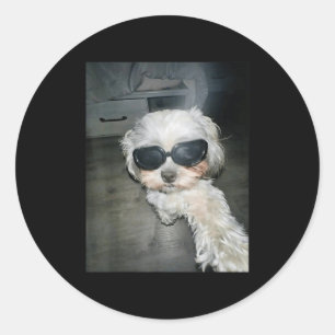 Wacky Dog Selfie With Sungles Vintage Meme Dog  Classic Round Sticker