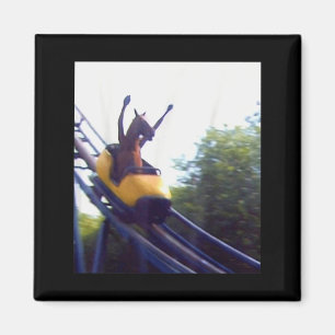 Wacky Horse Riding Roller Coaster Meme Internet Fu Magnet