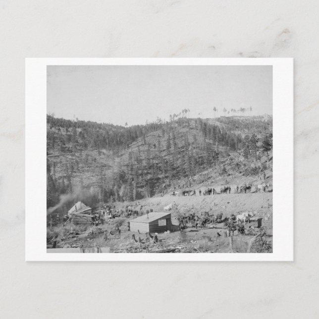 Wade and Jones Railroad Camp in Whitewood Canyon Postcard (Front)