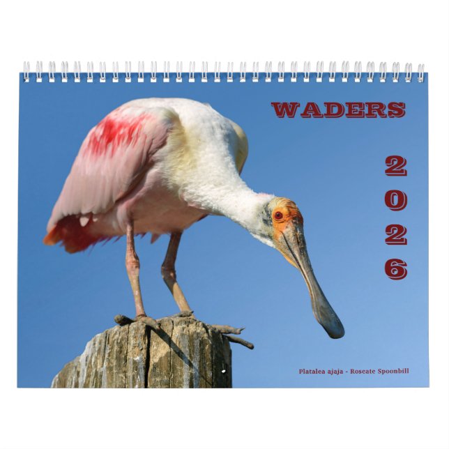waders calendar (Cover)