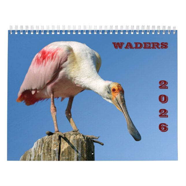 waders calendar 2025 (Cover)