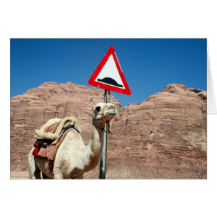 wadi rum camel hump
