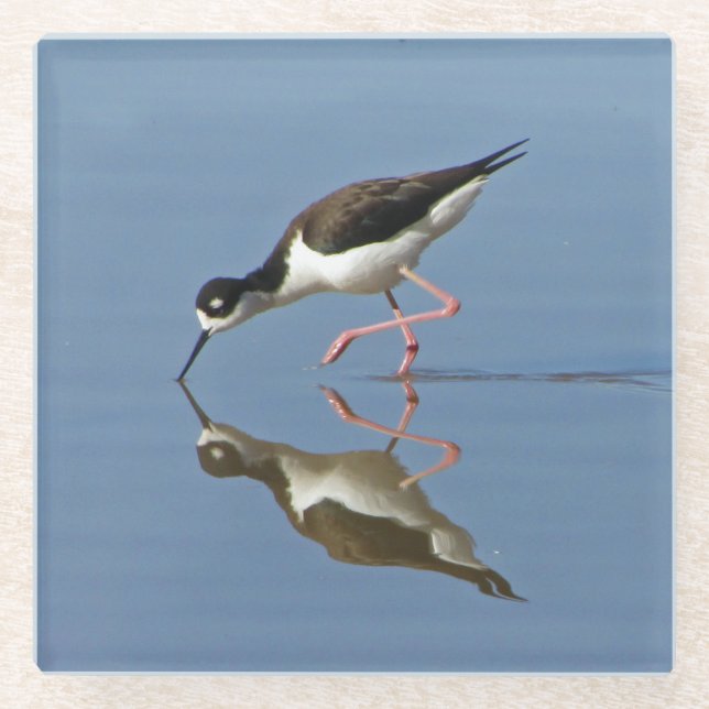 Wading Bird Calm Water Reflection Photo Nature Glass Coaster (Front)