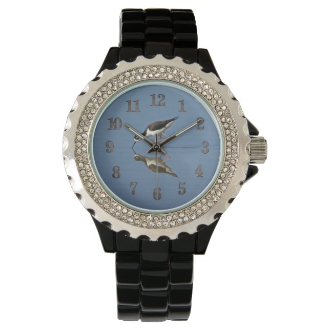 Wading Bird Calm Water Reflection Photo Nature Watch (Front)
