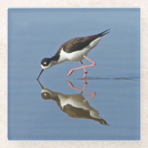 Wading Bird With Water Reflection Nature Photo Glass Coaster