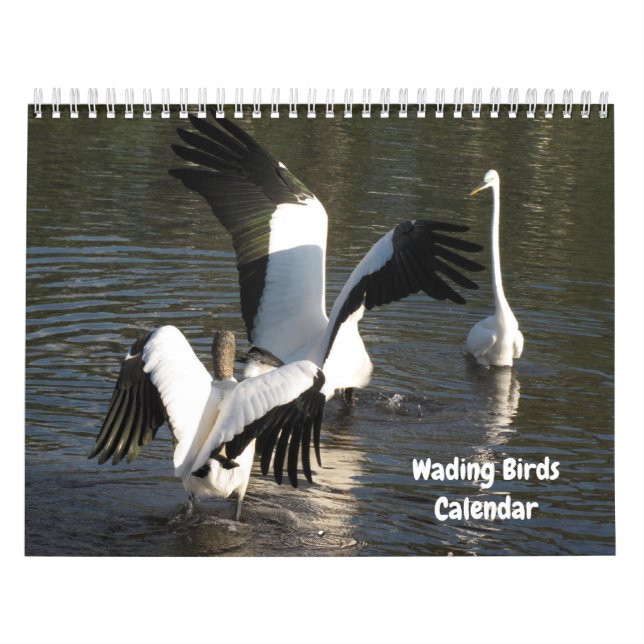 Wading Birds Calendar (Cover)