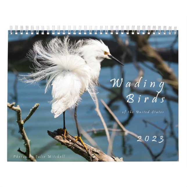 Wading Birds of the USA - Original Photo Calendar (Cover)