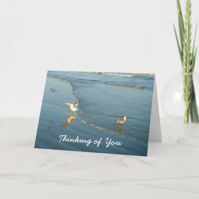 Wading Gulls Thinking of You Card (Front)