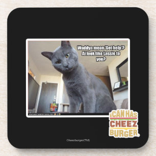 Wadya mean 'Get help'? Coaster