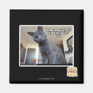Wadya mean 'Get help'? Magnet