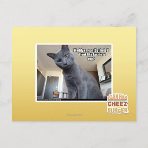 Wadya mean 'Get help'? Postcard