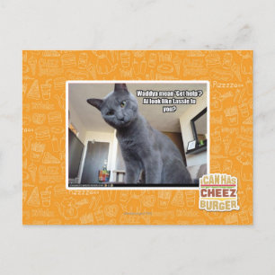 Wadya mean 'Get help'? Postcard