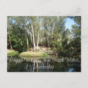 Wagga Wagga New South Wales, Australia Postcard