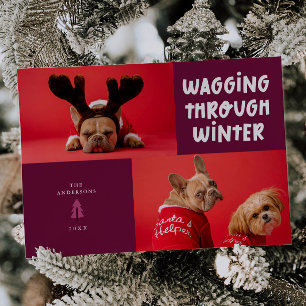 Wagging Through Winter Cranberry Pet Photo Holiday Card