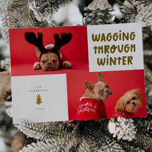 Wagging Through Winter Cream Pet Photo Holiday Card