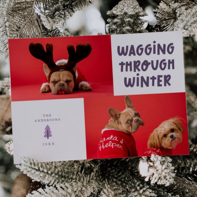 Wagging Through Winter Purple Pet Photo Holiday Card (Creator Uploaded)