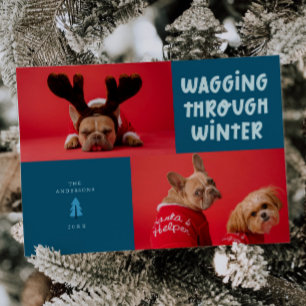 Wagging Through Winter Teal Pet Photo Holiday Card