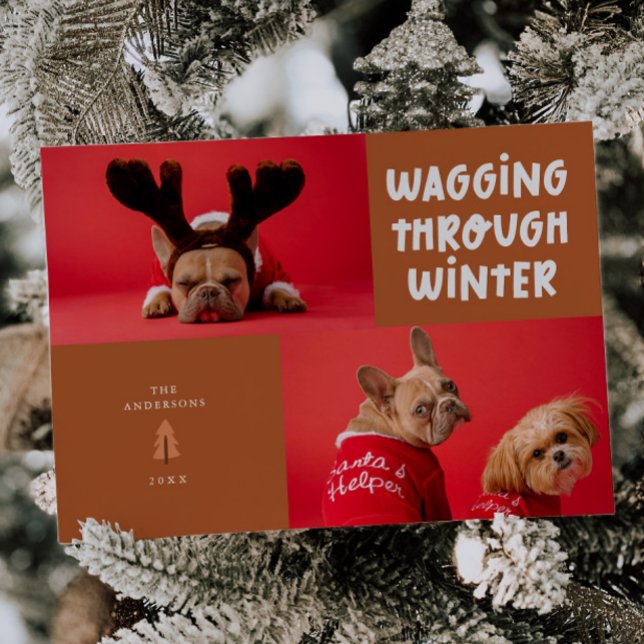 Wagging Through Winter Terracotta Pet Photo Holiday Card (Creator Uploaded)