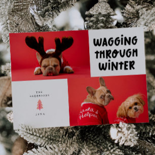 Wagging Through Winter White Pet Photo Holiday Card
