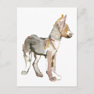 Waggle Postcard