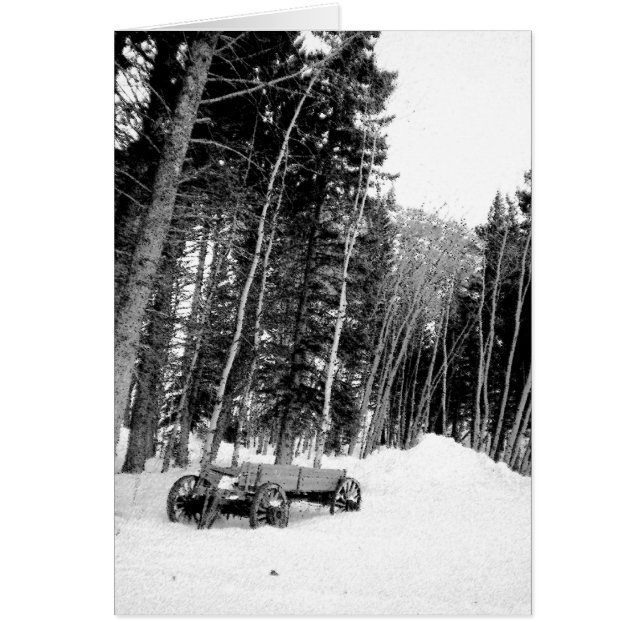 Wagon in winter forest (Front)