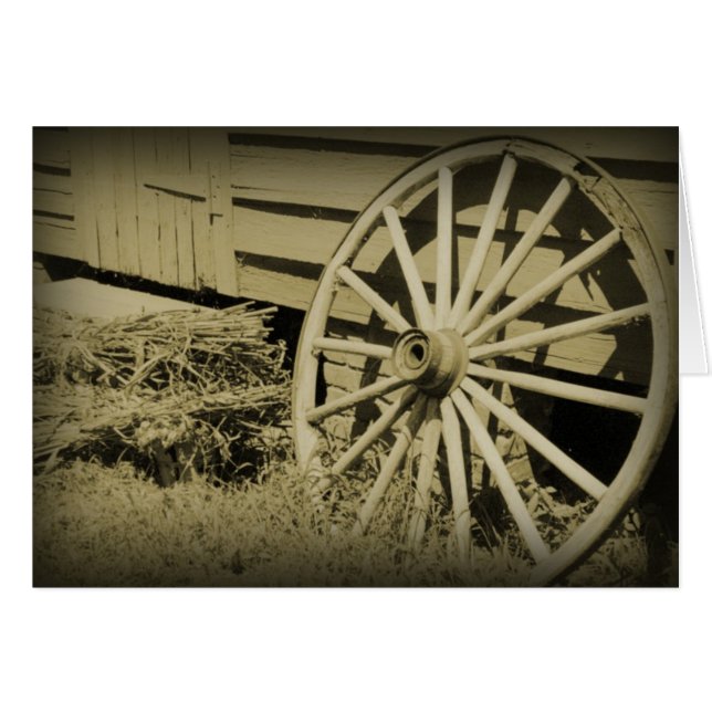 Wagon Wheel (Front Horizontal)