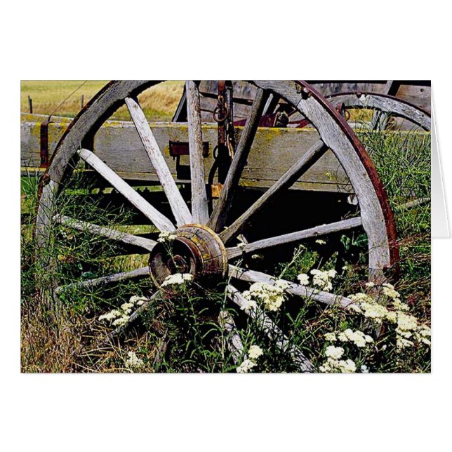 Wagon Wheel (Front Horizontal)