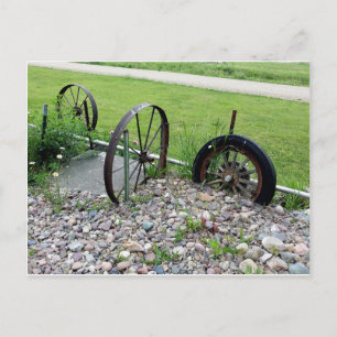 Wagon Wheels Rock Garden Montana Nature photograph Postcard