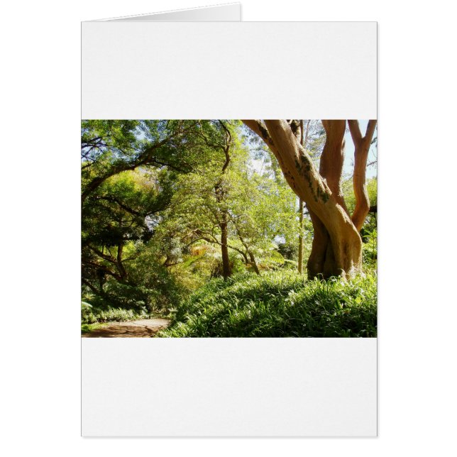 Wahiawa Botanical Garden (Front)