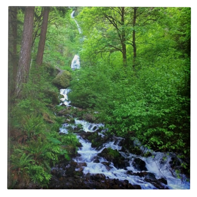 Wahkeena Falls, OR Ceramic Tile (Front)