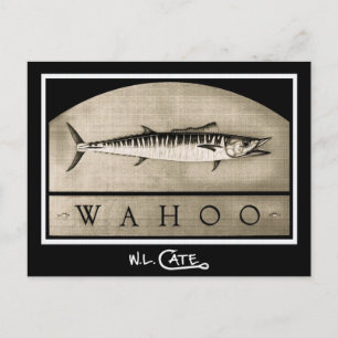 Wahoo Vintage Black & White Postcards