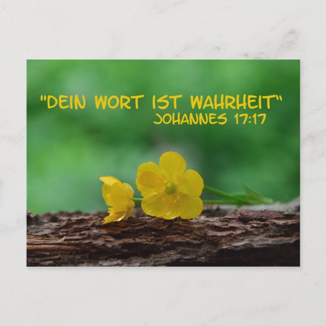 Wahrheit .... postcard (Front)