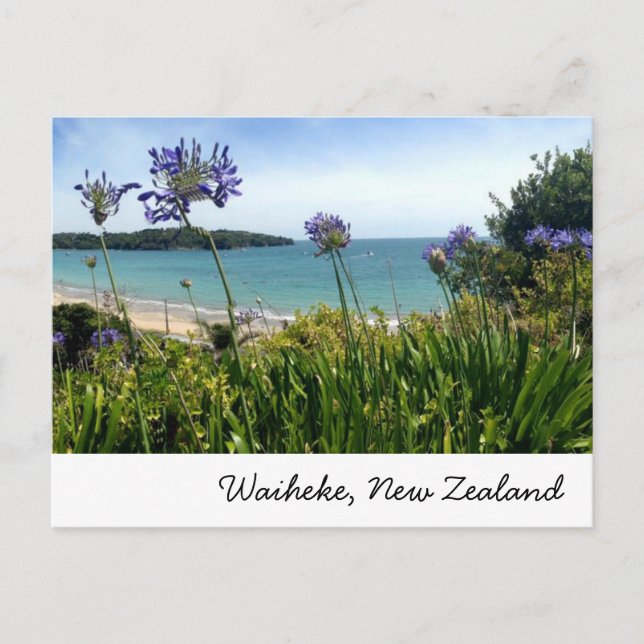 Waiheke, New Zealand postcard (Front)