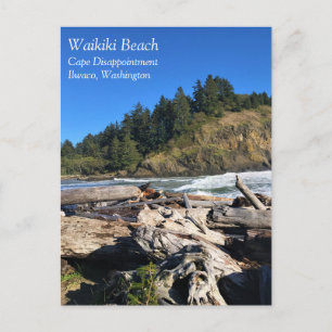 Waikiki Beach, Cape Disappointment, Washington Postcard